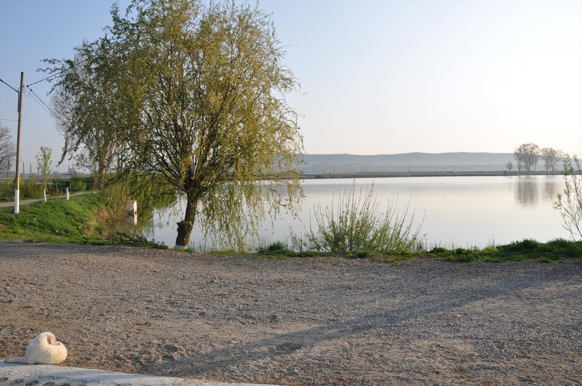 GALERIE FOTO TROFEUL USAMV - PLEASA - dsc0462.JPG